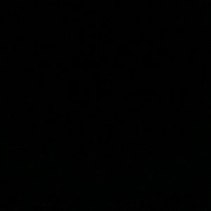 Meet your Posher, Ray